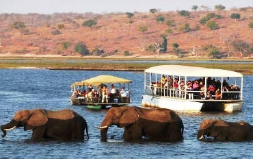 Afrika'da Nehirden Safari