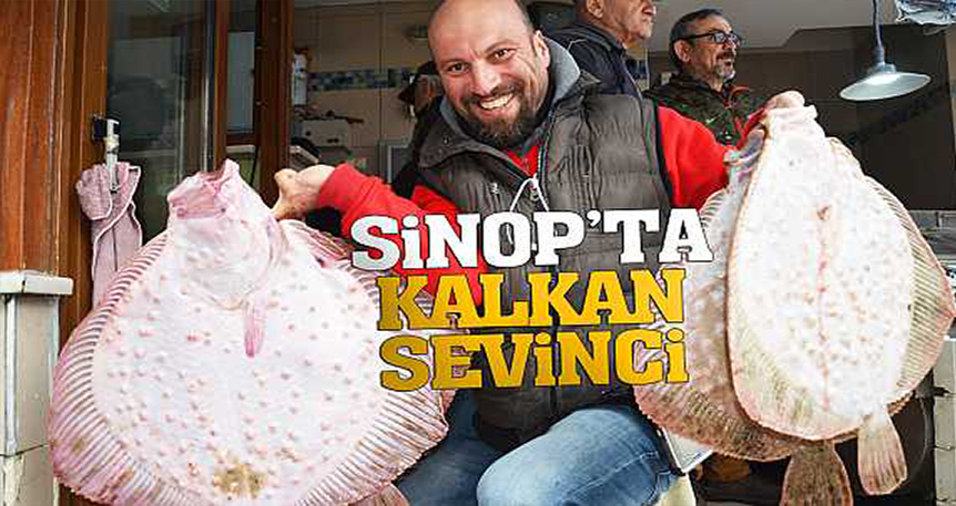 Sinop Kalkan Avı & Balık Atölyesi