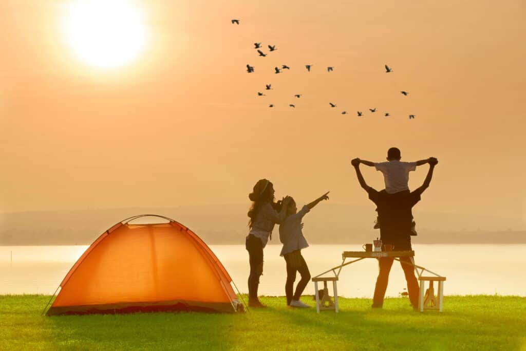 AdobeStock 206290625 min 1024x683 1