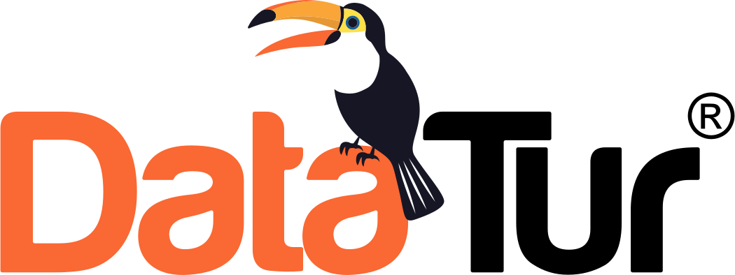 DataTur Logo